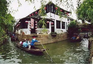 2024春节江浙沪旅游：一场说走就走的混乱冒险