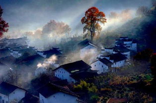 7. 美食攻略：贵得要死