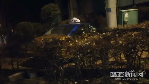 属虎人的勇猛与冲撞