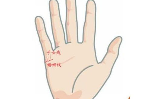 手相中主要有哪些主线？手相共有几条线？