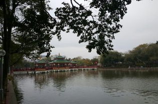 汕头公园前,汕头的公园