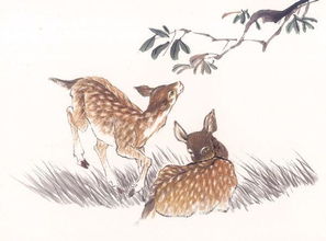 鹿和鸽子的风水画,鹿和乌龟