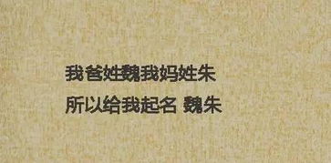 那些年我们追过的名字