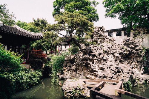 二、人潮中的风景，你的专属体验（假装有）