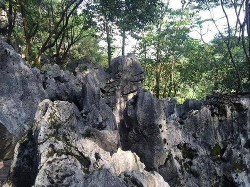 神峰关：历史持续发展与天然的交融