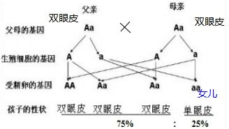 第二章：身体的密码——人中深浅定终身