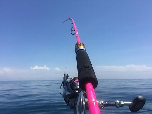 三亚的海钓魅力：不只是阳光沙滩