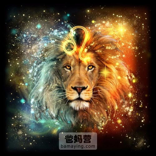 星座界的奇妙组合：当狮子撞上双子