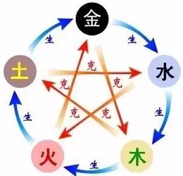 先把“杨靖荷”这三个字拆开， 给你一份粗暴但真实切的五行拆分报告