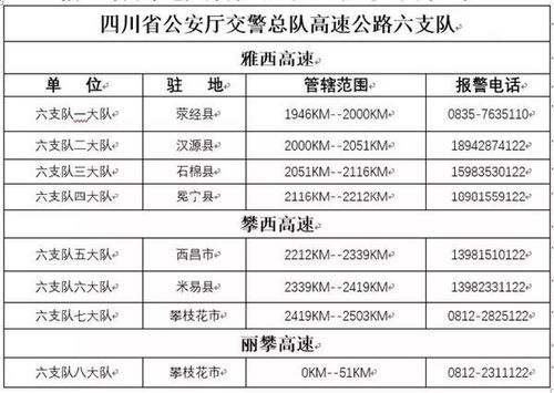 生存指南：如何在专线车上活下来