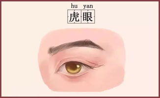 面相中眼睛一只大一只小，这样的面相意味着什么？