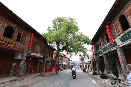 第一站：三坊七巷——历史持续发展与现代化交错的古韵