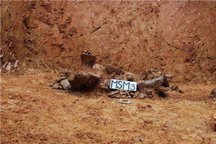 洛阳古代墓葬风水大师名单,洛阳古墓