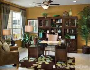 四、如何把这些植物巧妙融入书房布局？（杂乱无章版）