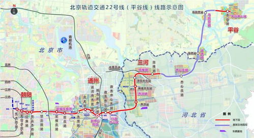 反向暴走指南：在钢筋丛林里寻找野性