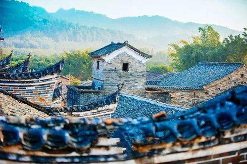 二、晨曦初露：早起？算了吧！