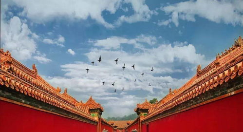 沈阳故宫的开放时间段