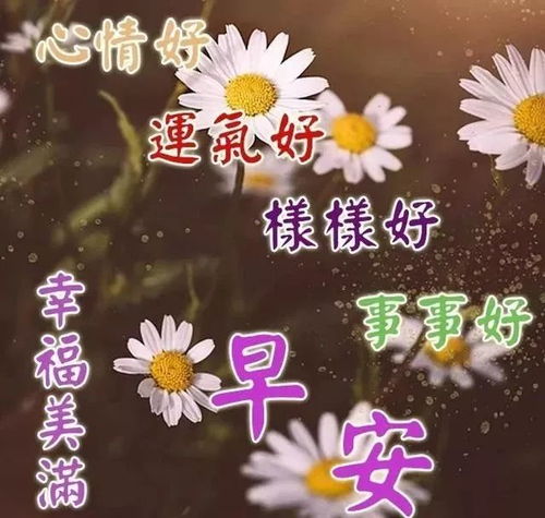 对较长辈或正式场合选较大气版: