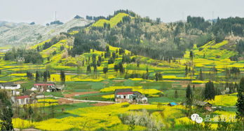 卸甲坪的土家风情：线上线下的世纪大战