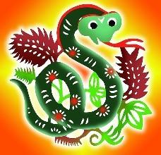 属蛇射手座2026年整体运势和下半年运势具体是怎样的？