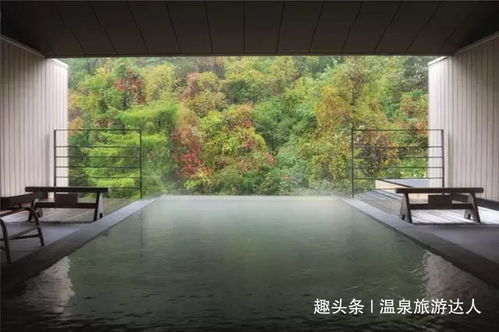 探寻秋日的北海道：一场温泉与自然的邂逅