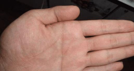 一、断掌的形成：情感与理智的交织