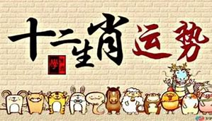 二、 生肖鼠——低调潜伏的暗黑金矿