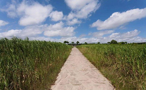 地山羊属什么生肖年？老牛耕田地打一生肖是什么生肖？