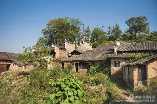 其他建筑特色