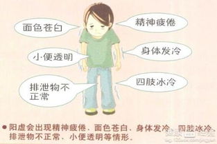 2.3 日常护理技巧：从生活细节做起