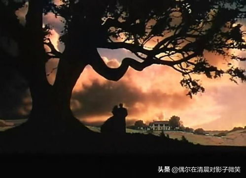 真实相巨大白——混沌理论＋星座解读