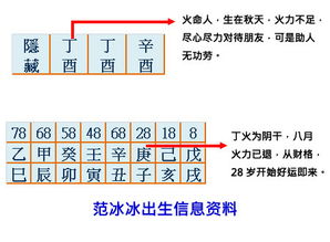 八字命理分析中，比肩格女命有哪些显著特点呢？