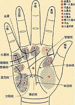 男性手相手心菱形纹婚姻线代表什么含义？