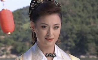段正淳与王家之间的矛盾