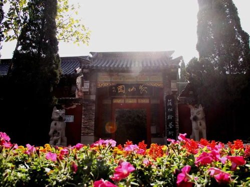 景区亮点：比聊斋故事还魔幻的现实