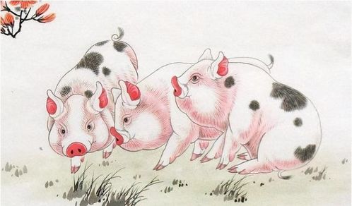属猪之人2027年下半年贵人是谁，遇难题时如何找到解决方法？