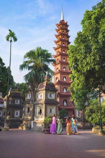 泰莲庭：一个让你又爱又恨的奇葩度假村