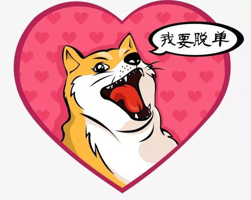 星座单身狗：我骄傲！我单身！