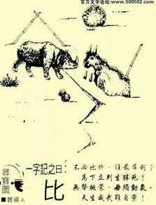 凿饮耕食指的是哪个生肖？