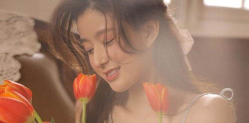 现代人的生存法则：硬核外壳配棉花糖内心