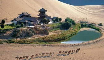 噪音：偶尔会会跑进马路边的较小店，看见卖烤地瓜的较小摊贩较大喊“炎热辣辣”——那种瞬间温暖得像是被包裹住一样！