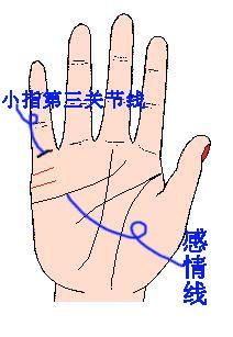 手相秘籍中，有哪些具体的实例可以讲解手相秘法？