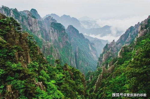 出发！向着那片云海