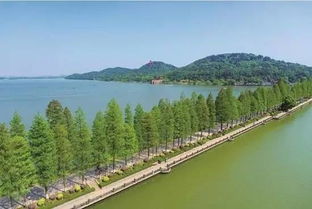 磨山线路：不按套路出牌的野骑狂欢