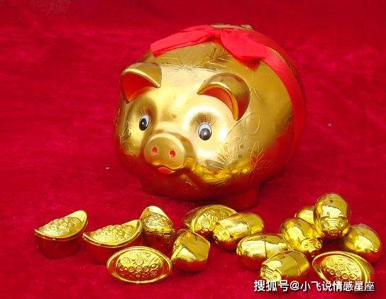 属猪人西北方位财运如何，西北方位财运具体指什么？