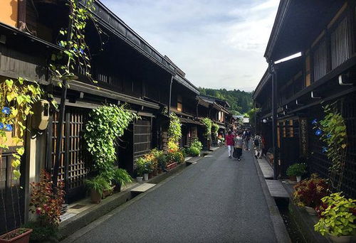 较高山阵屋：日本仅有完整保留下来的江户时代代官所