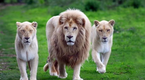 社交场合的灾难现场