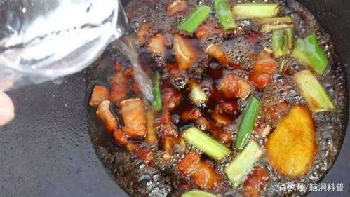 交通大乱炖：飞机、高铁与自驾的抉择