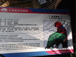 看点推荐：精彩纷呈