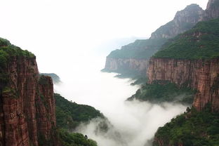 门票价格大揭秘！（捂脸）